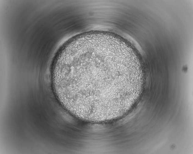 X0000103151027200809192024