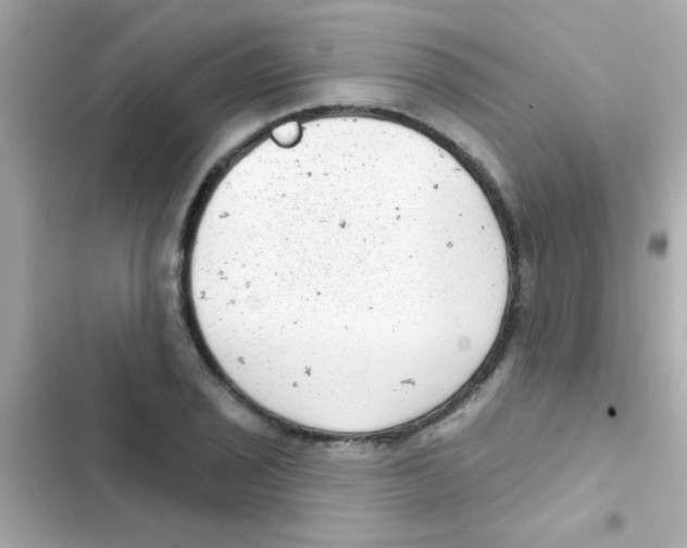 X0000103151029200809192024