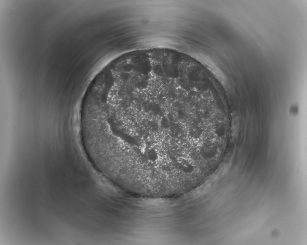 X0000103151031200809192024