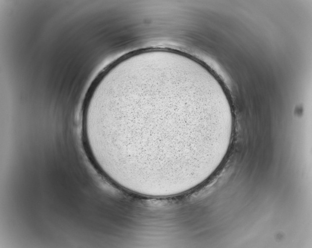 X0000103151032200809192024