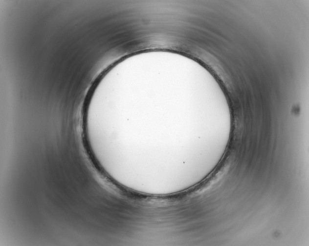 X0000103151034200809192024