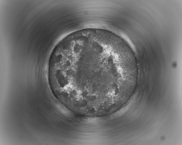 X0000103151035200809192024