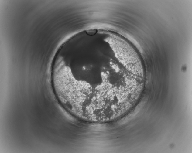 X0000103151037200809192024