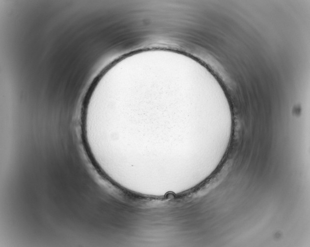 X0000103151038200809192024