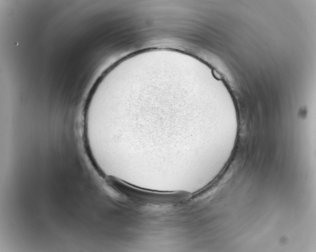 X0000103151040200809192024