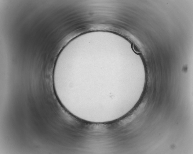 X0000103151041200809192024