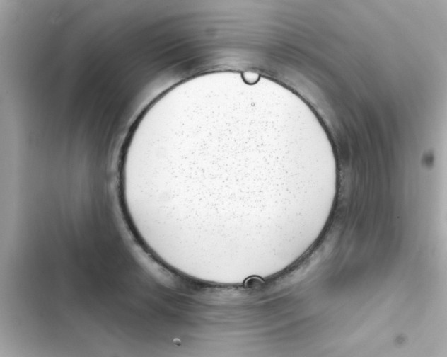 X0000103151042200809192024