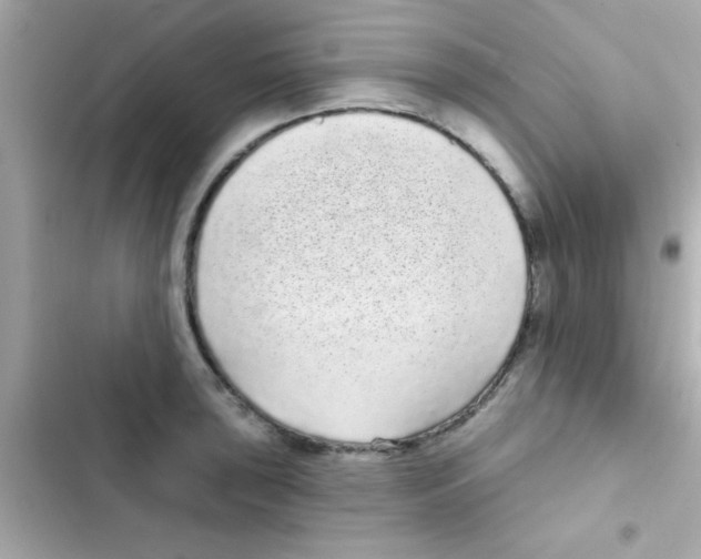 X0000103151043200809192024