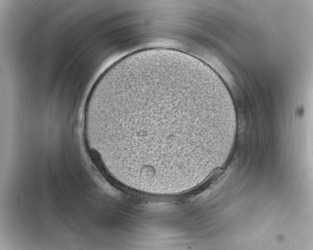 X0000103151044200809192024