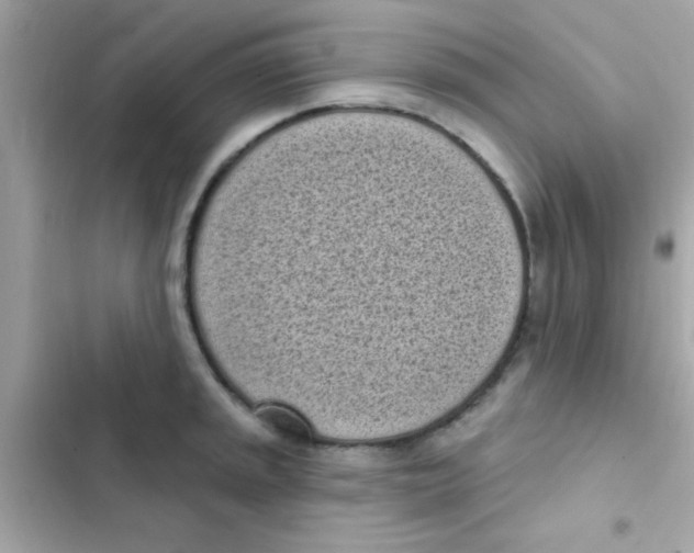 X0000103151045200809192024