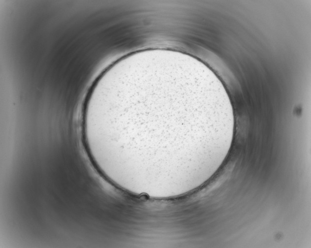 X0000103151046200809192024