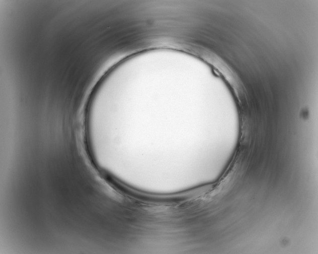 X0000103151048200809192024