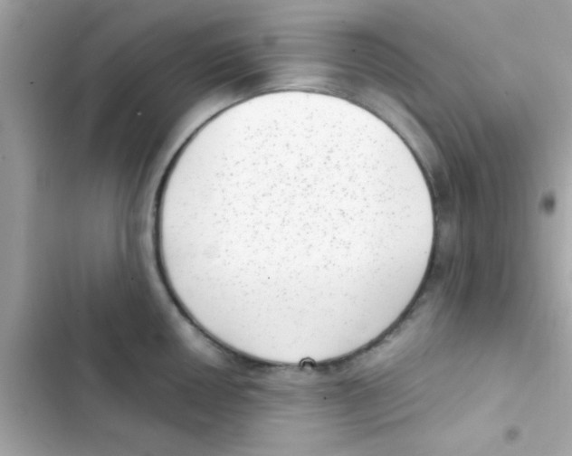 X0000103151050200809192025