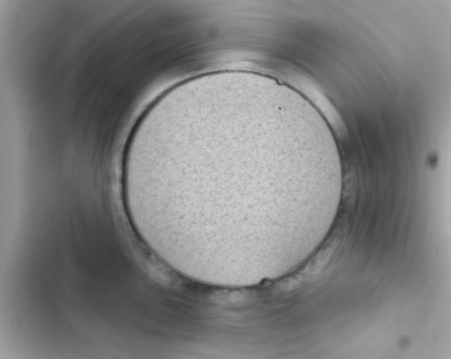 X0000103151051200809192025