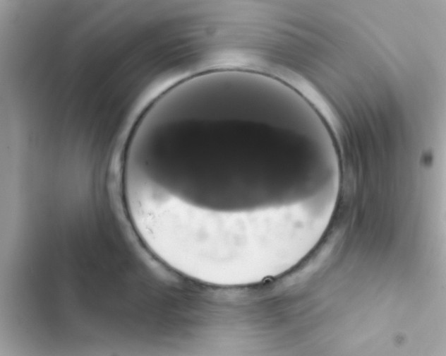 X0000103151053200809192025