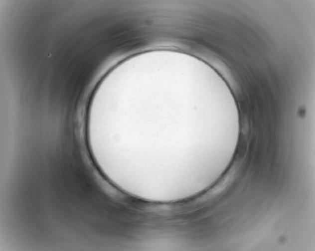 X0000103151054200809192025