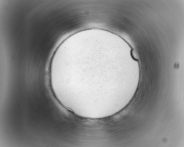 X0000103151056200809192025