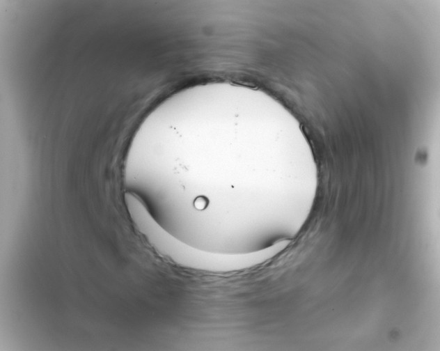 X0000103151057200809192024