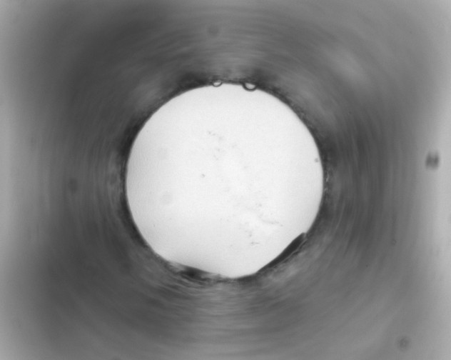 X0000103151058200809192024