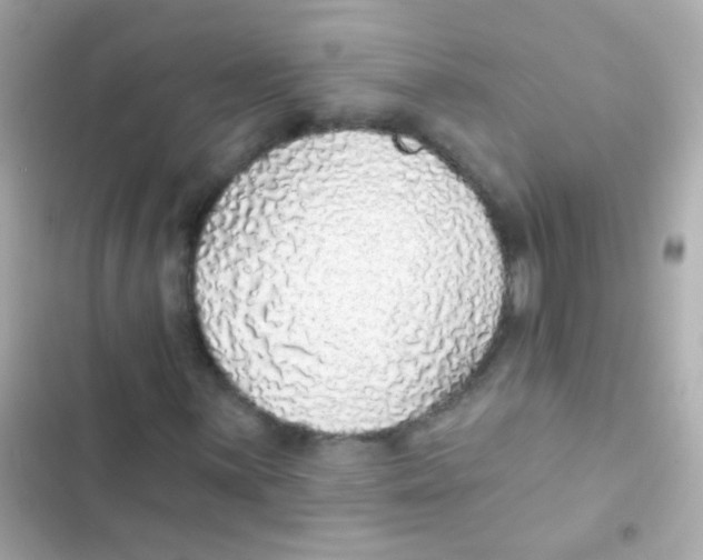 X0000103151059200809192024