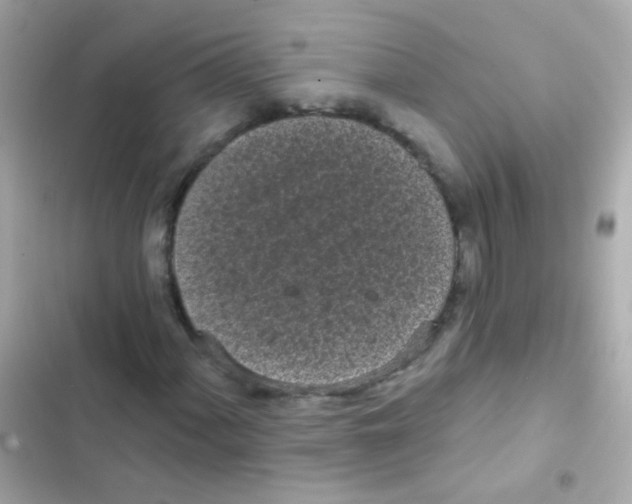 X0000103151060200809192024