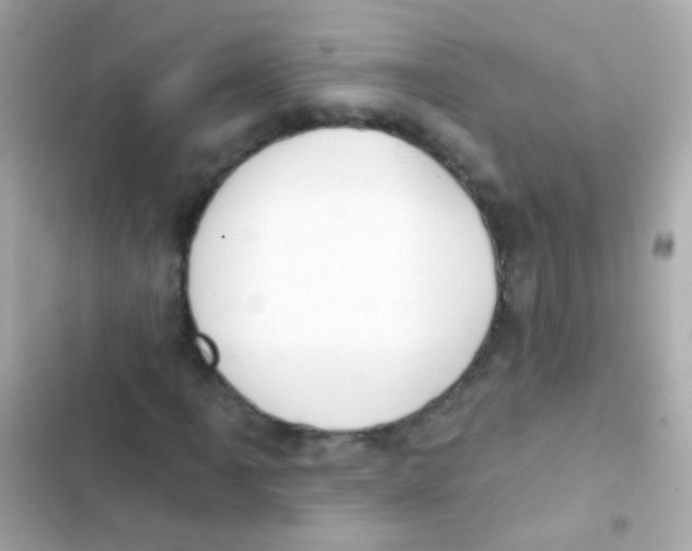 X0000103151061200809192024