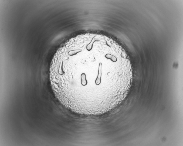 X0000103151063200809192024