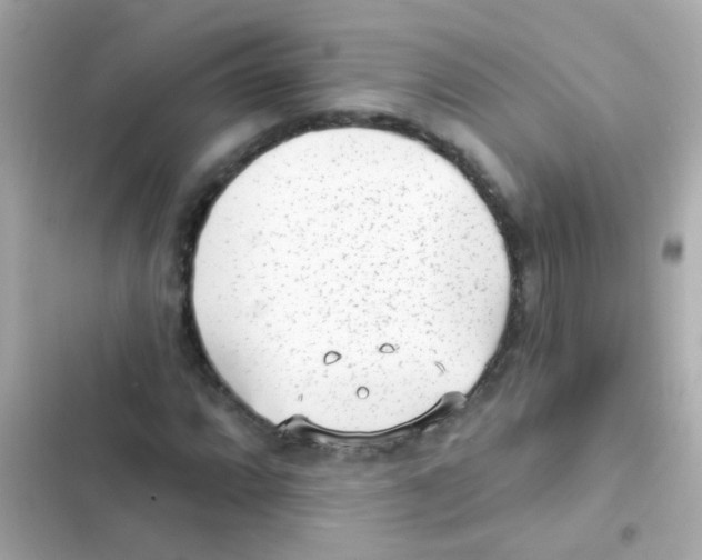 X0000103151064200809192024