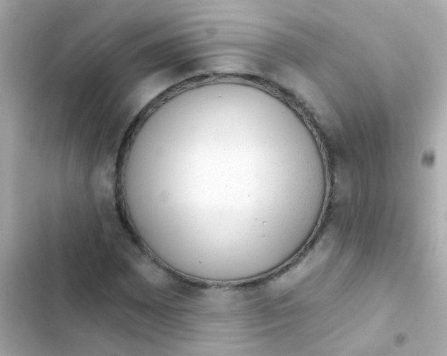 X0000103151065200809192024