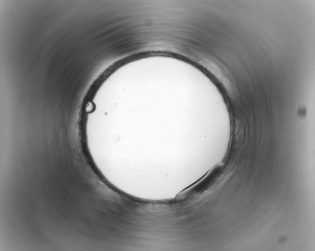 X0000103151068200809192024