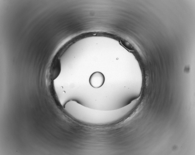 X0000103151069200809192024