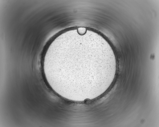 X0000103151070200809192024