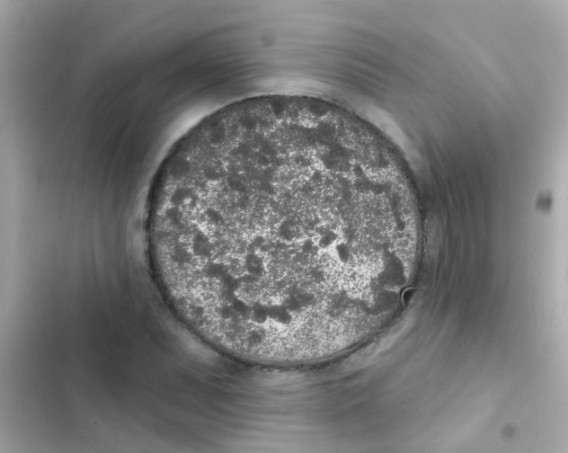 X0000103151071200809192024