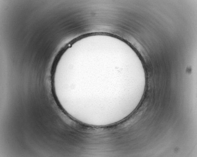 X0000103151072200809192024