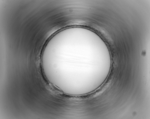 X0000103151073200809192024