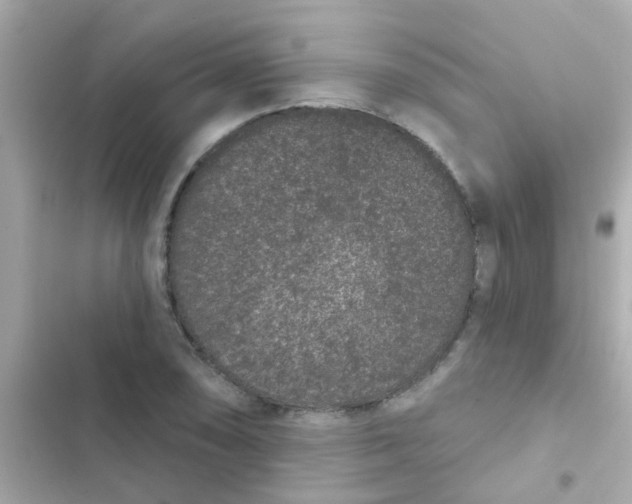 X0000103151074200809192024