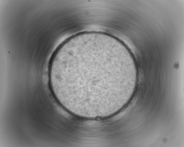 X0000103151075200809192024