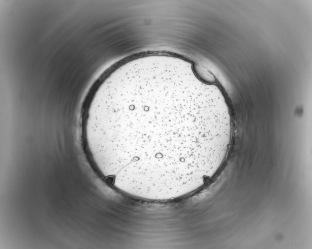 X0000103151076200809192024