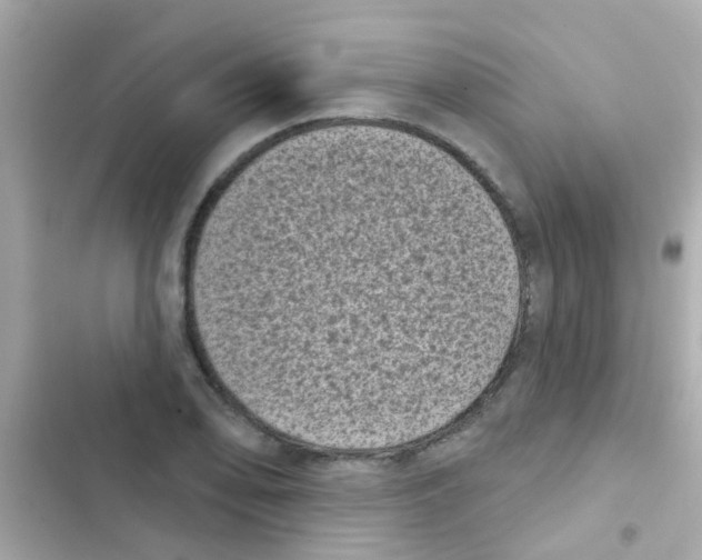 X0000103151078200809192024