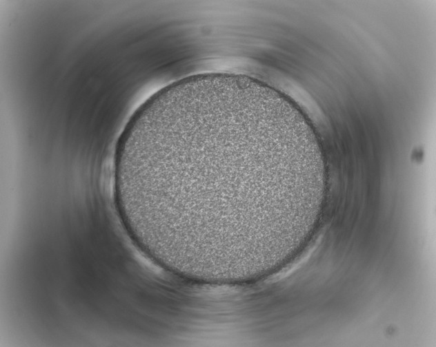 X0000103151079200809192024