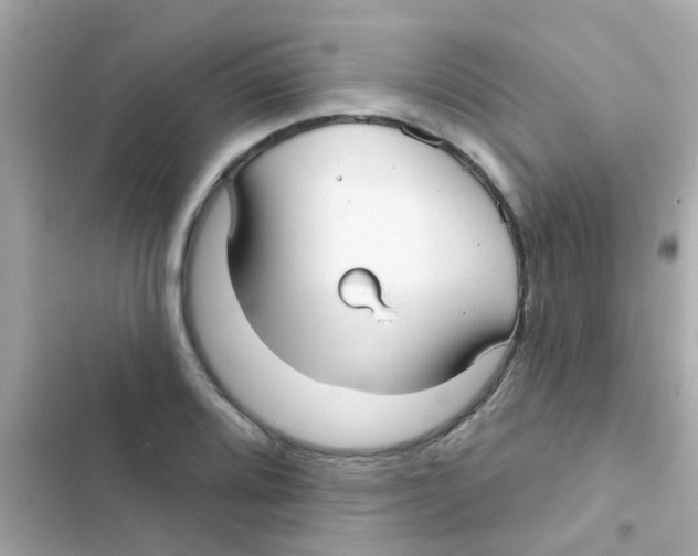 X0000103151080200809192024