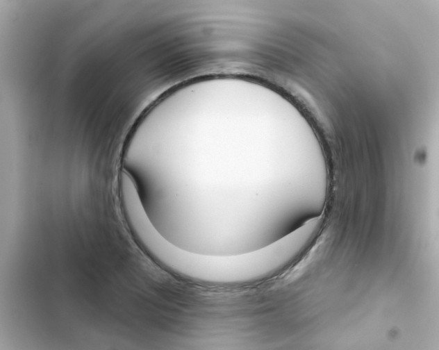 X0000103151081200809192023