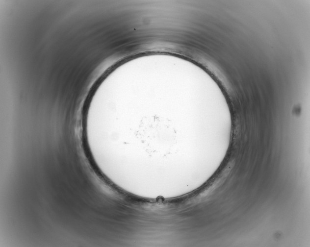 X0000103151082200809192023