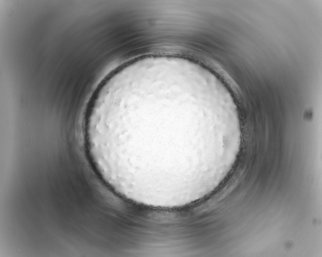 X0000103151083200809192023