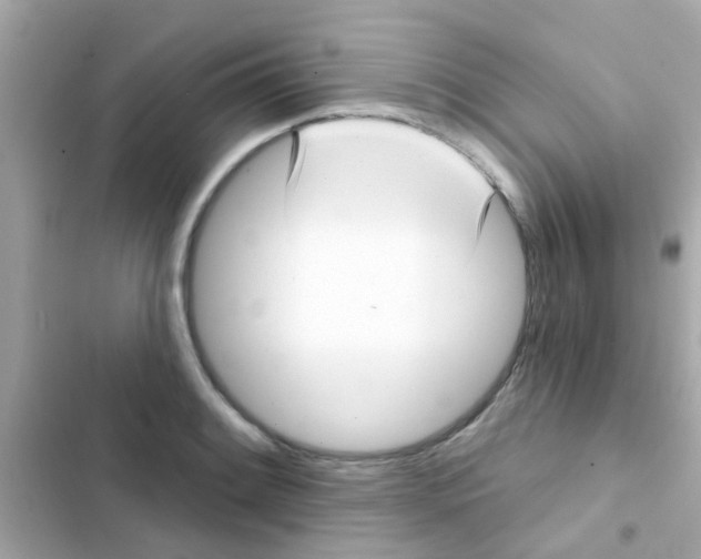 X0000103151084200809192023