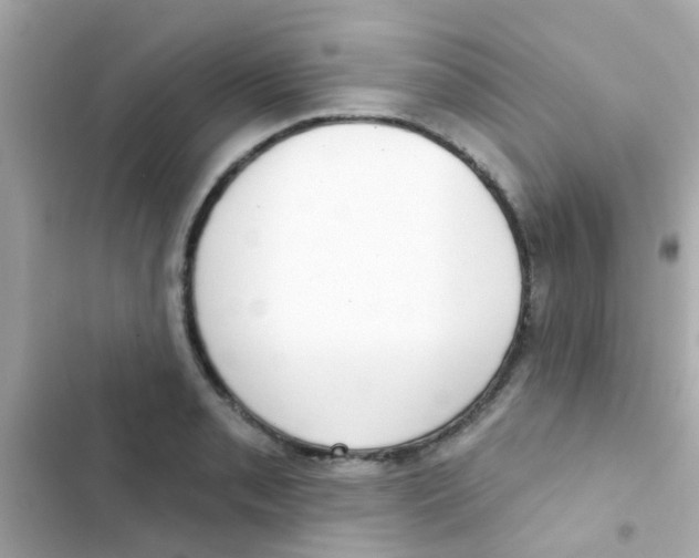 X0000103151085200809192023