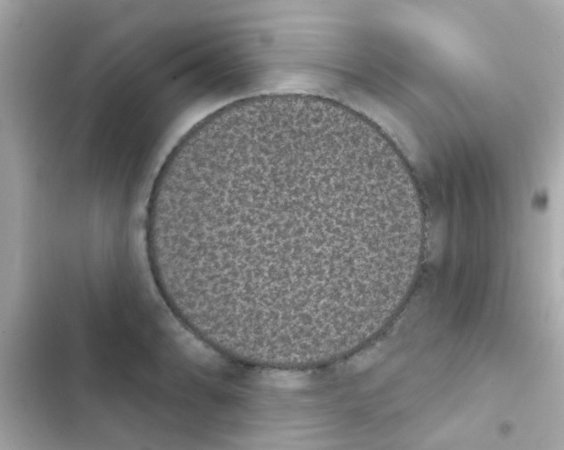 X0000103151086200809192023