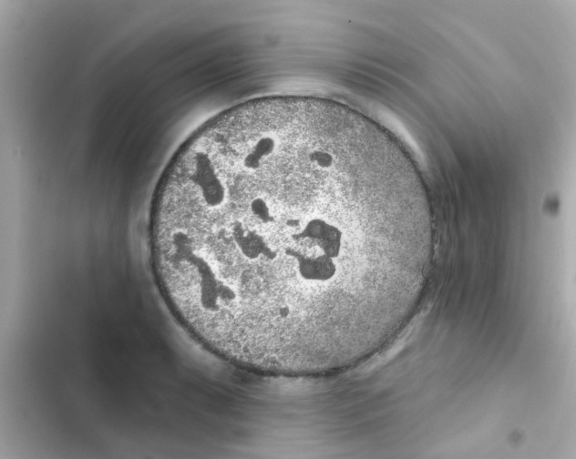 X0000103151087200809192023