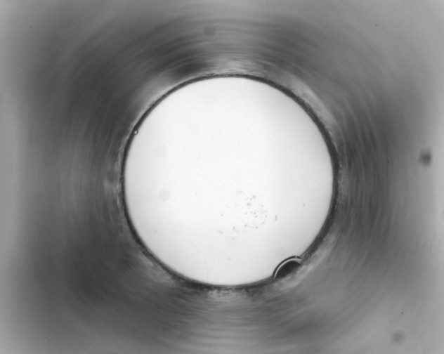 X0000103151089200809192023