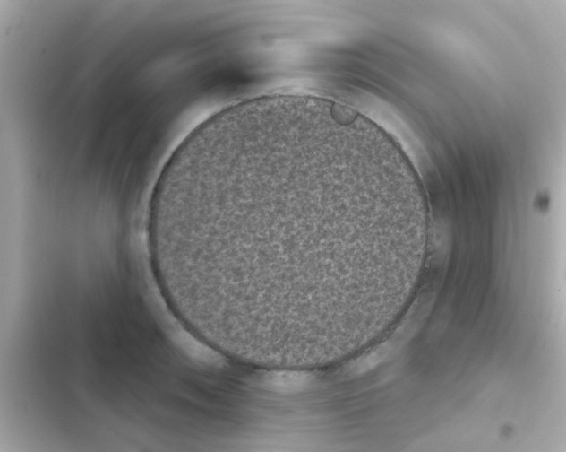 X0000103151090200809192023